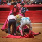 novillada plaza de toros