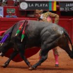 novillada plaza de toros