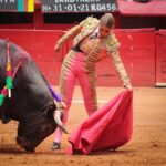 novillada plaza de toros