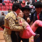 novillada plaza de toros