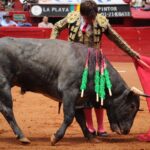 novillada plaza de toros