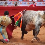 novillada plaza de toros