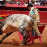 novillada plaza de toros