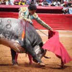 novillada plaza de toros