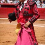 novillada plaza de toros