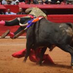 novillada plaza de toros