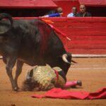 novillada plaza de toros