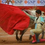 novillada plaza de toros