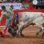 novillada plaza de toros