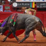 novillada plaza de toros