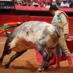 novillada plaza de toros