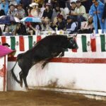 Plaza de Toros San Miguel de Allende