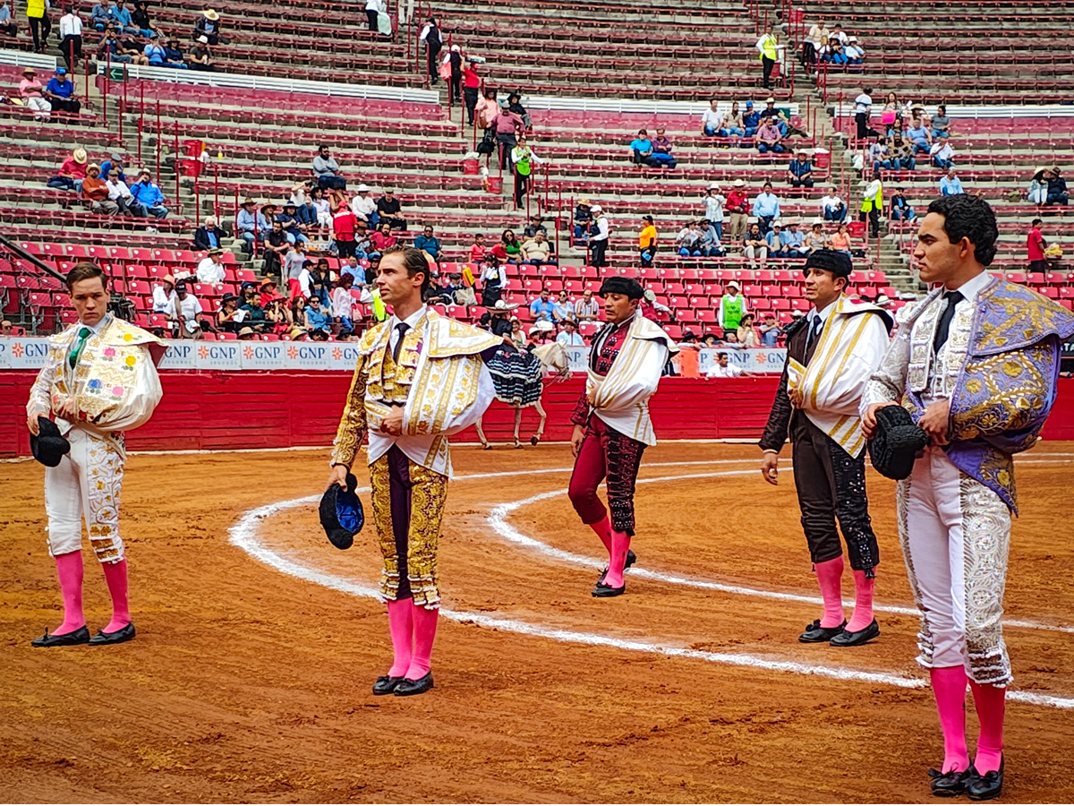 NOVILLADA EN LA MÉXICO