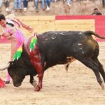 Feria en Honor a San Francisco de Asís