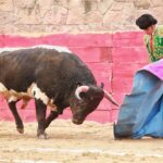 Feria en Honor a San Francisco de Asís