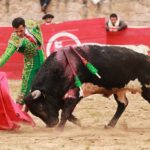 Feria en Honor a San Francisco de Asís