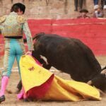 Feria en Honor a San Francisco de Asís