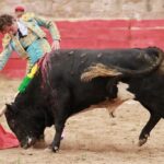 Feria en Honor a San Francisco de Asís