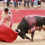 Feria en Honor a San Francisco de Asís