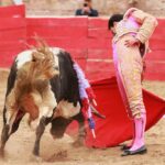 Feria en Honor a San Francisco de Asís