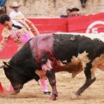 Feria en Honor a San Francisco de Asís