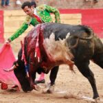 Feria en Honor a San Francisco de Asís