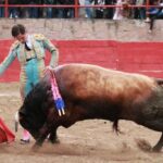 Feria en Honor a San Francisco de Asís