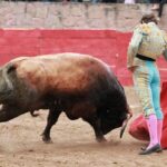 Feria en Honor a San Francisco de Asís