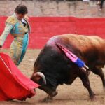 Feria en Honor a San Francisco de Asís