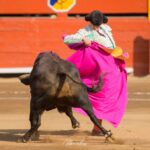 David Galván abre la Puerta Grande en la Plaza de Toros de Acho durante la Feria del Señor de los Milagros