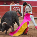 Feria taurina en Pachuca