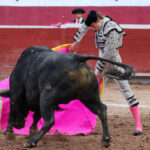 Feria taurina en Pachuca