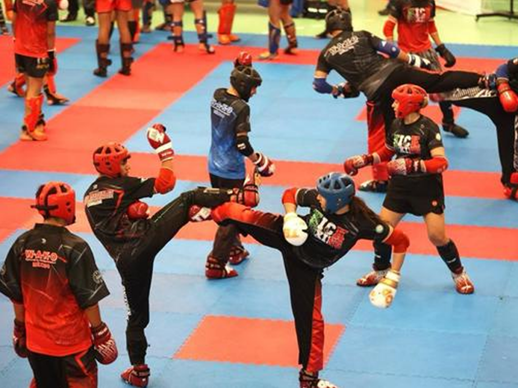 Conformaron selección que competirá en el Campeonato Panamericano de Kickboxing 2024