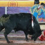 Arturo Saldívar en la tradicional corrida de Tlaxcala