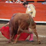 Enrique Ponce realizando su última faena en la Plaza de Toros de Acho