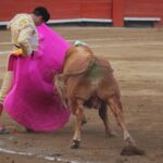 Enrique Ponce realizando su última faena en la Plaza de Toros de Acho