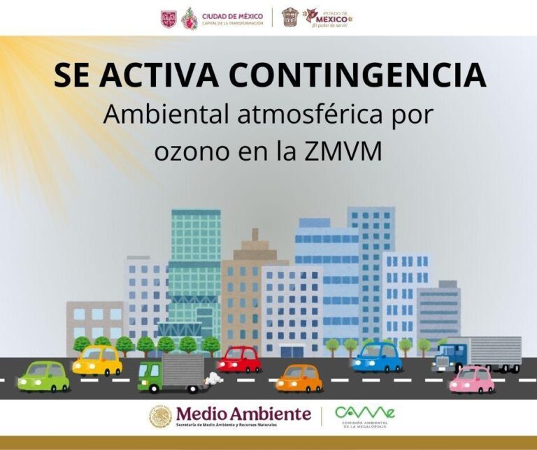 IMAGEN X, @CAMegalopolis
