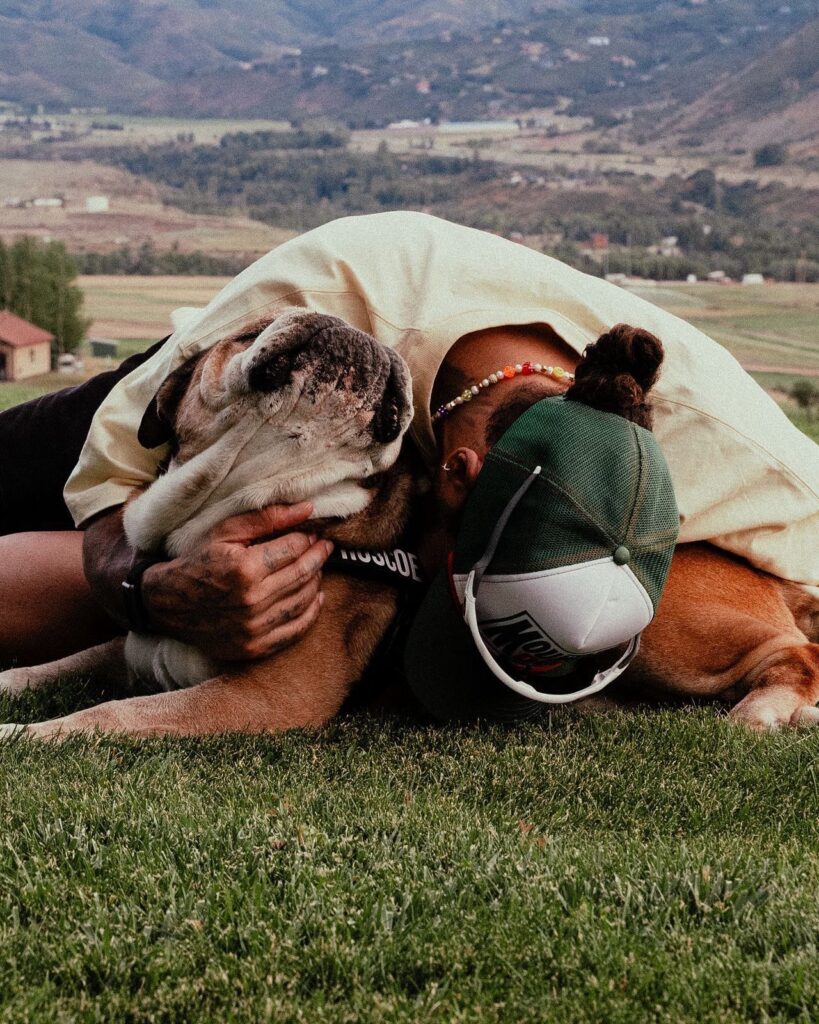 Hamiltón anunció el fallecimiento de Roscoe en sus redes sociales/Imagen: X (@LewisHamilton)