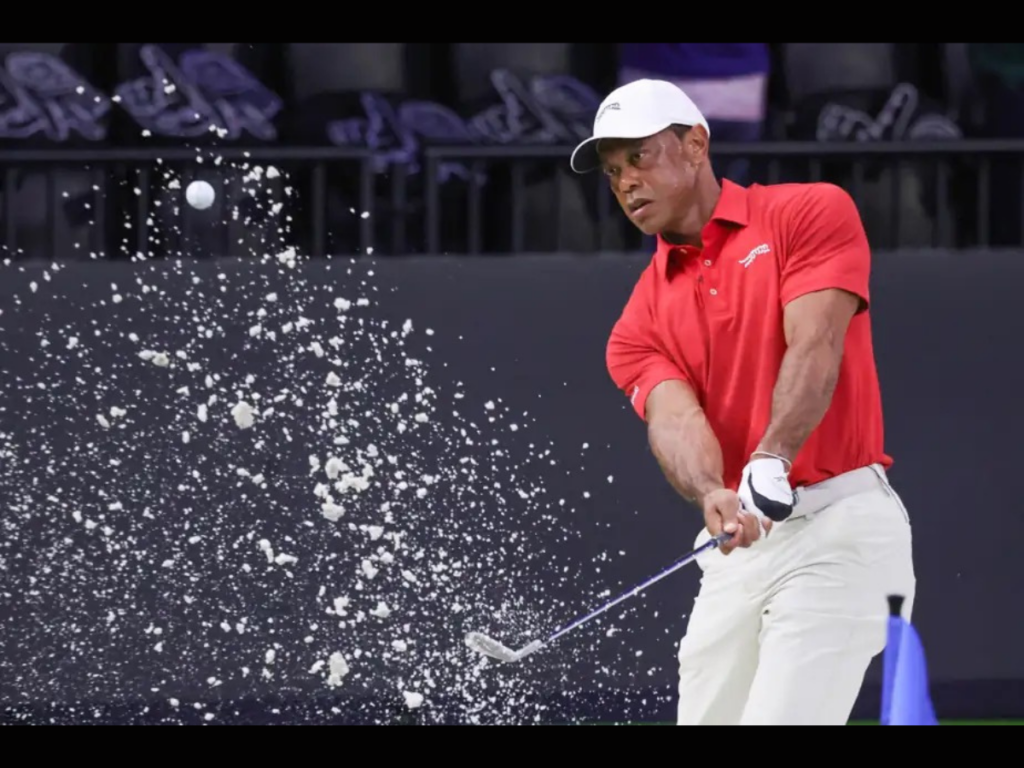 TIGER, ENTRE DUDAS Y REALIDAD