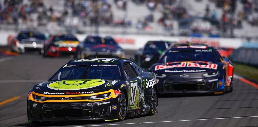 VAN GISBERGEN MANDA